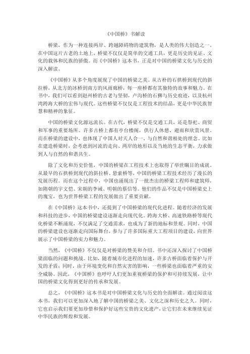 《中国桥》书解读