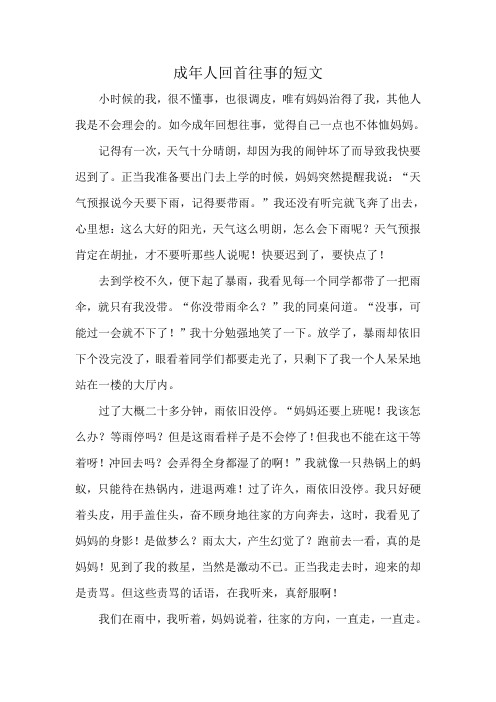 成年人回首往事的短文