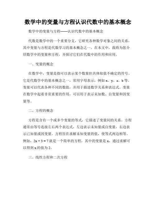 数学中的变量与方程认识代数中的基本概念