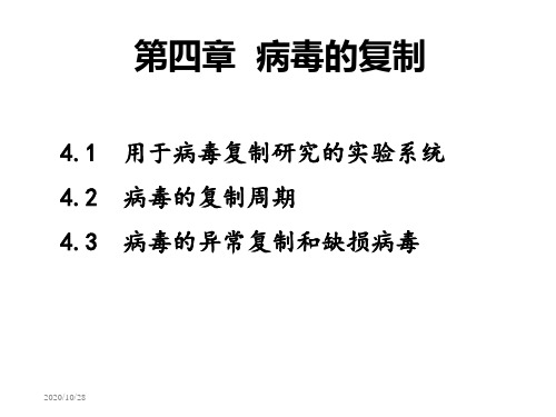 动物病毒学课件第四章：病毒的复制