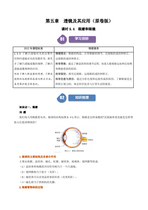 人教版2024-2025学年八年级物理上册同步精品讲义专题5.4眼睛和眼镜(学生版+解析)