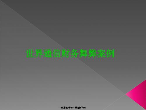 信息舞弊审计01世通财务舞弊案.综述