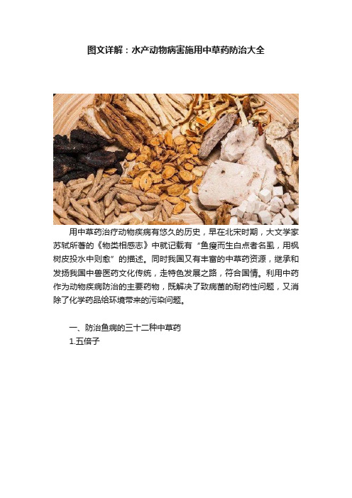 图文详解：水产动物病害施用中草药防治大全