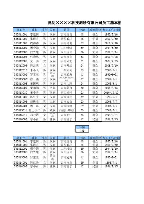 某公司员工基本情况表及工作表22