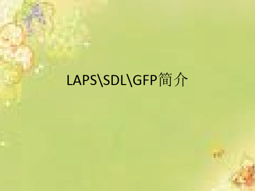 LAPS.SDL.GFP三种协议简介