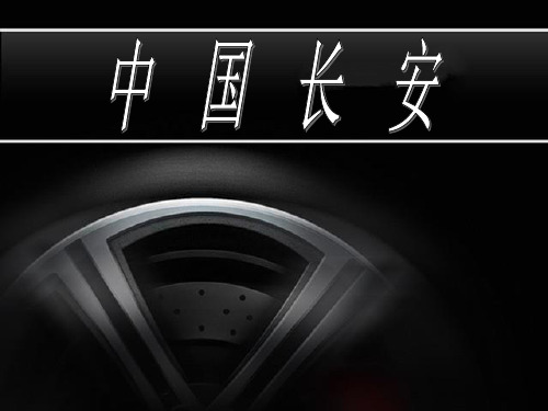 中国某汽车有限公司介绍