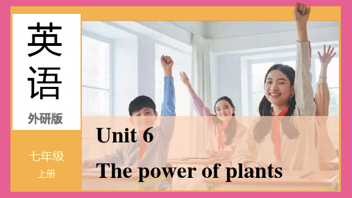 Unit 6 The power of plants课件 外研版(2024)七年级英语上册