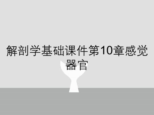 解剖学基础课件第10章感觉器官