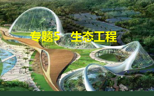 专题5 5.2 生态工程的实例和发展前景-2020-2021学年高二生物(人教版选修3)