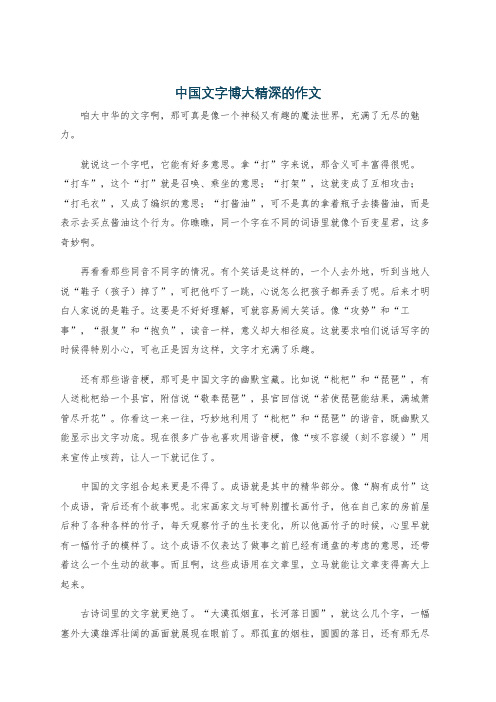 中国文字博大精深的作文