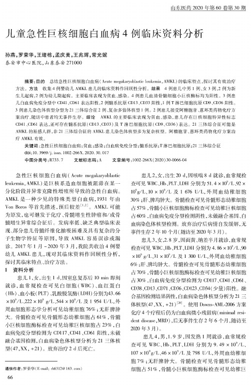 儿童急性巨核细胞白血病4例临床资料分析