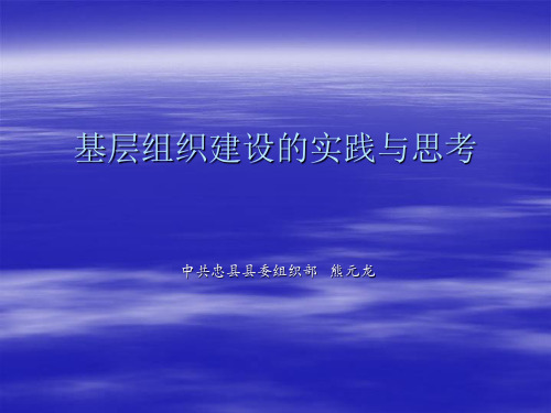 基层组织建设的实践与思考 - 副本