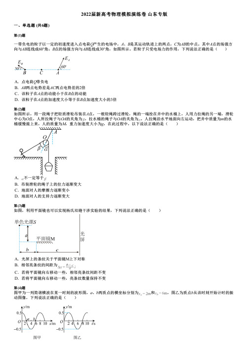 2022届新高考物理模拟演练卷 山东专版