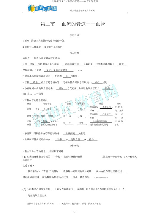 七年级下4.2《血流的管道——血管》导学案