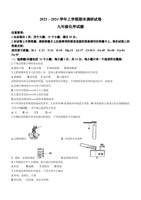 河南省平顶山市鲁山县2023-2024学年九年级上学期期末化学试卷(含答案)