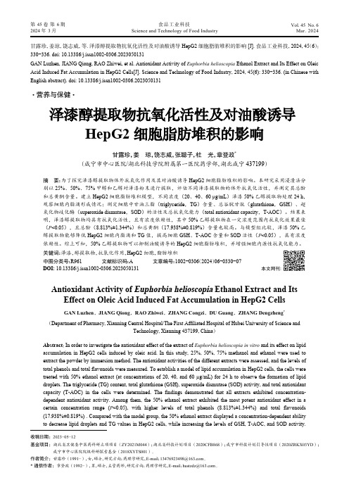 泽漆醇提取物抗氧化活性及对油酸诱导HepG2细胞脂肪堆积的影响