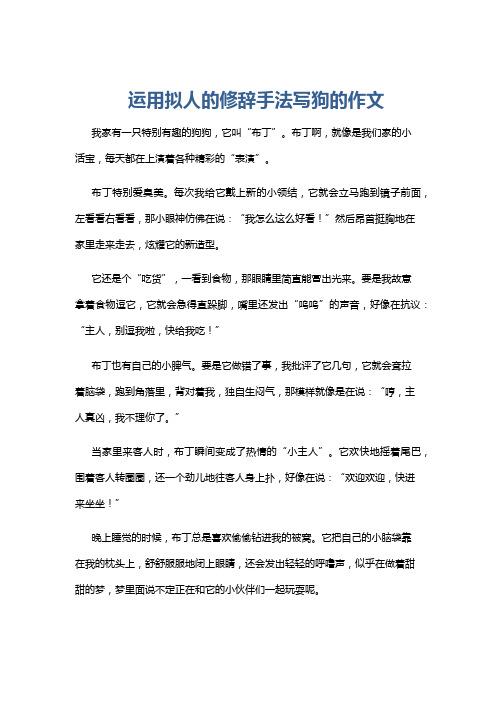 运用拟人的修辞手法写狗的作文