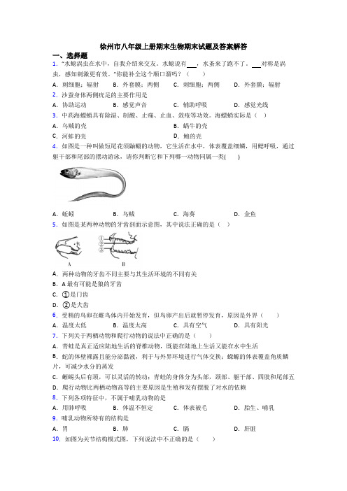 徐州市八年级上册期末生物期末试题及答案解答