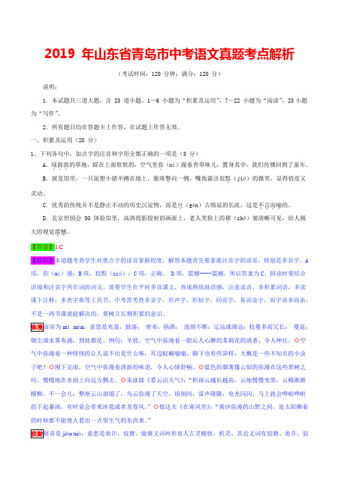 2019 年山东省青岛市中考语文真题考点解析