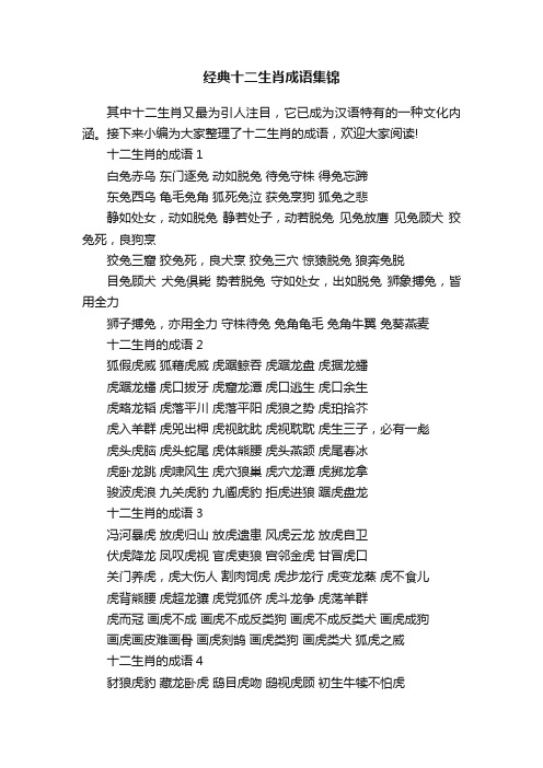 经典十二生肖成语集锦