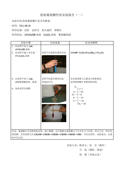 检验葡萄糖性质实验报告(一)