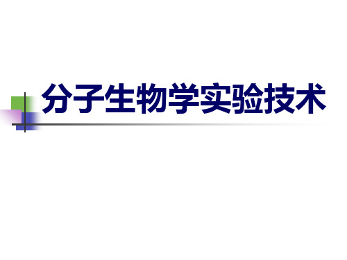 分子生物学实验技术ppt课件