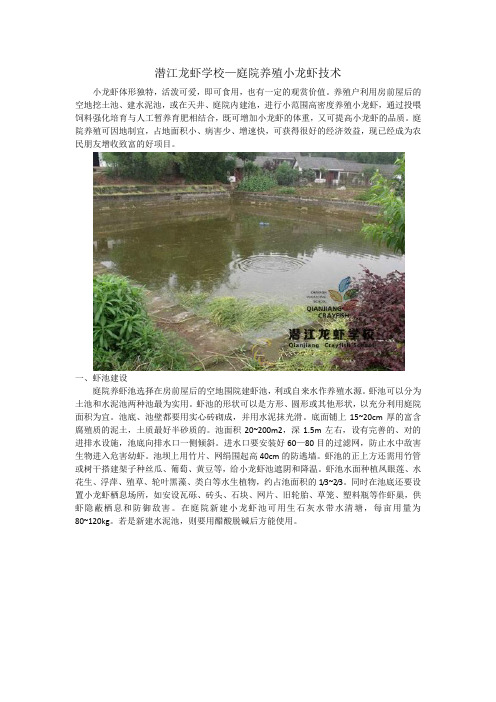 潜江龙虾学校教你——庭院养殖小龙虾技术