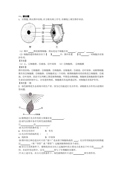 【原创】2016届九年级上学期生物开学测试题分类之综合题1