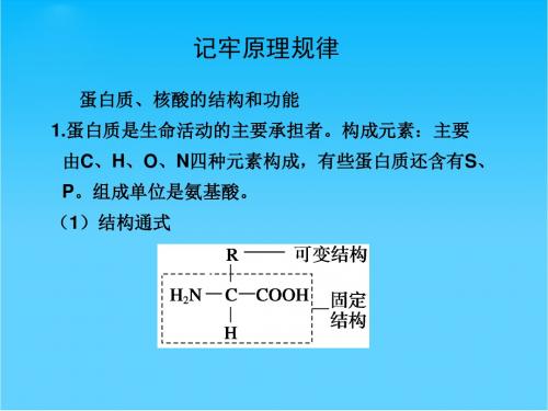 高三生物二轮复习课件记牢原理规律