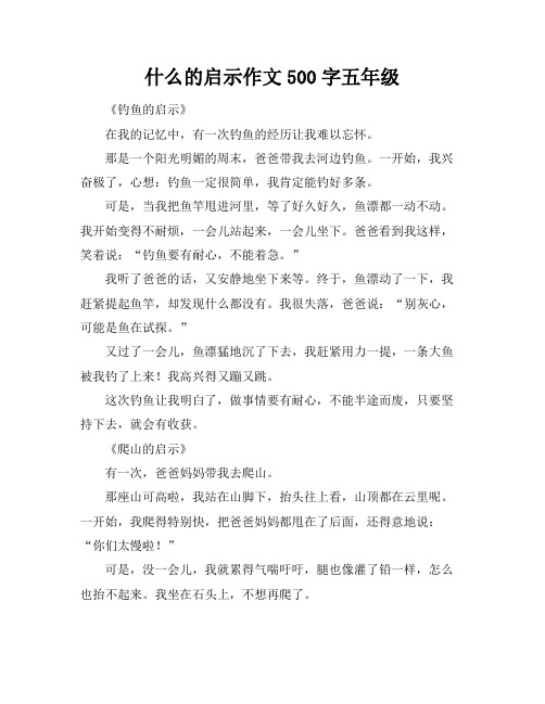 什么的启示作文500字五年级