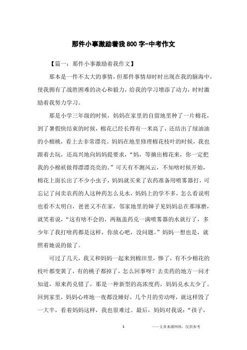 那件小事激励着我800字-中考作文