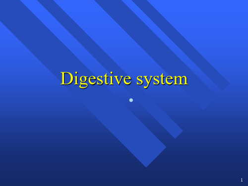 digestivesystem