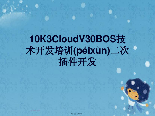 10K3CloudV30BOS技术开发培训二次插件开发