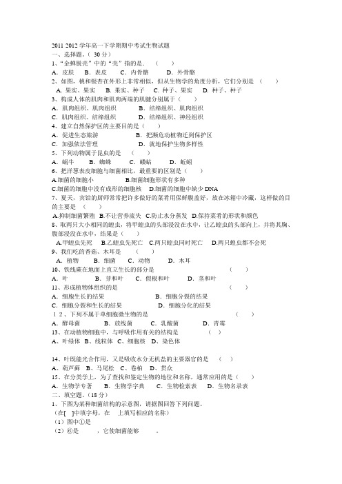 2011-2012学年高一下学期期中考试生物试题