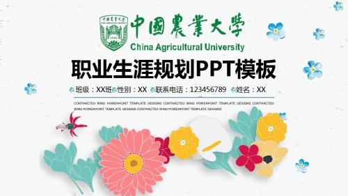 中国农业大学学生职业生涯规划框架完整ppt模板