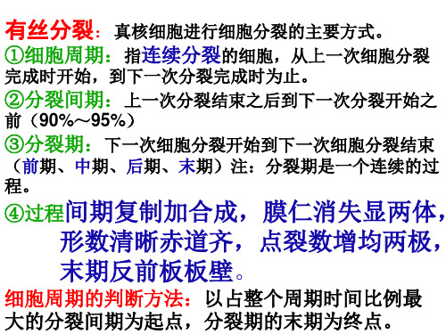 高一下期中考试复习知识点