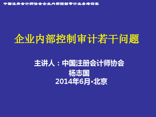 企业内部控制审计若干问题--中国注册会计师协会副秘书长杨志国