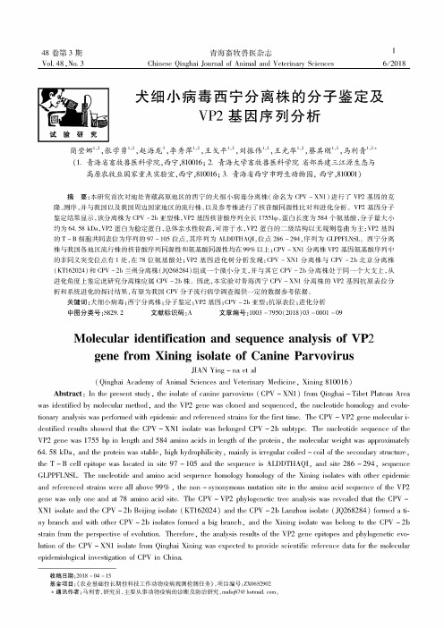 犬细小病毒西宁分离株的分子鉴定及VP2基因序列分析