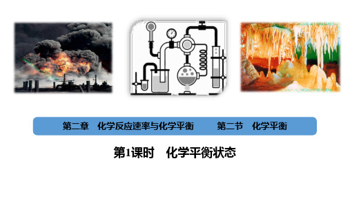 2.2.1 化学平衡  课件 高二上学期化学人教版(2019)选择性必修1