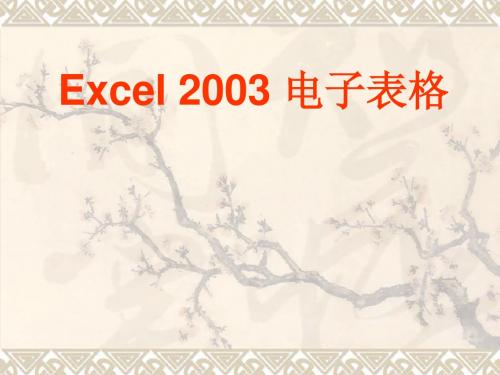 Excel 2003 电子表格