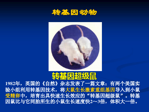 生物学转基因动物与动物生物反应器