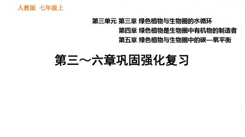 人教版7年级生物上册第三单元第三～六章巩固强化复习