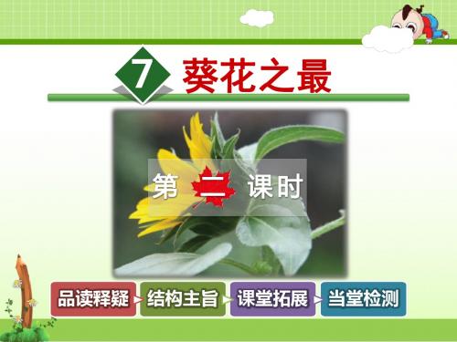 冀教版小学语文六年级下册课件:7.葵花之最【第2课时】