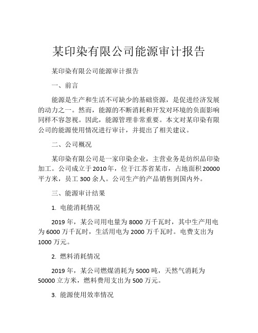 某印染有限公司能源审计报告