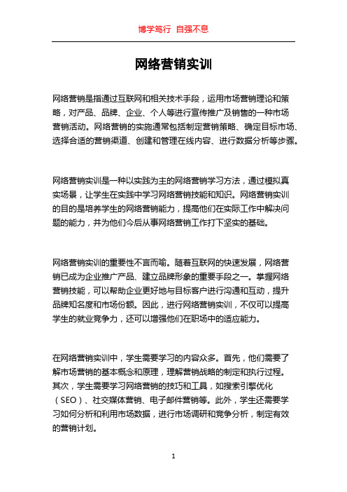 网络营销实训