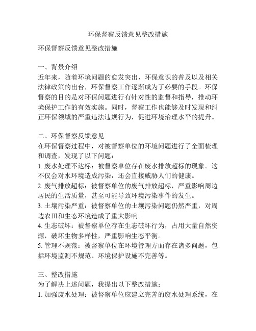 环保督察反馈意见整改措施