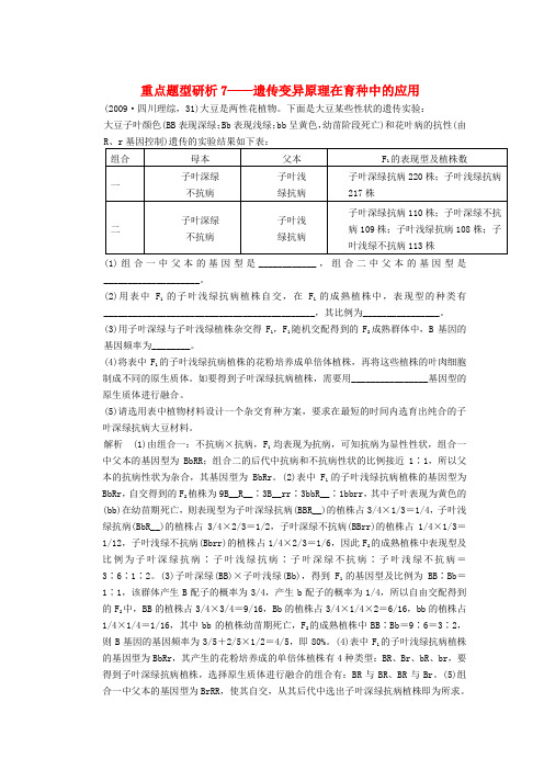 高考生物一轮复习 第七单元  专能专项突破教案