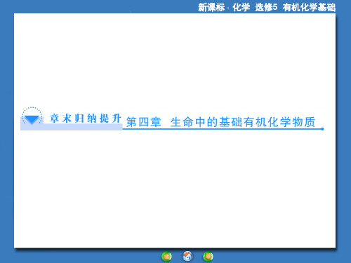 人教版有机化学选修五第四章生命中的基础有机化学物质归纳总结