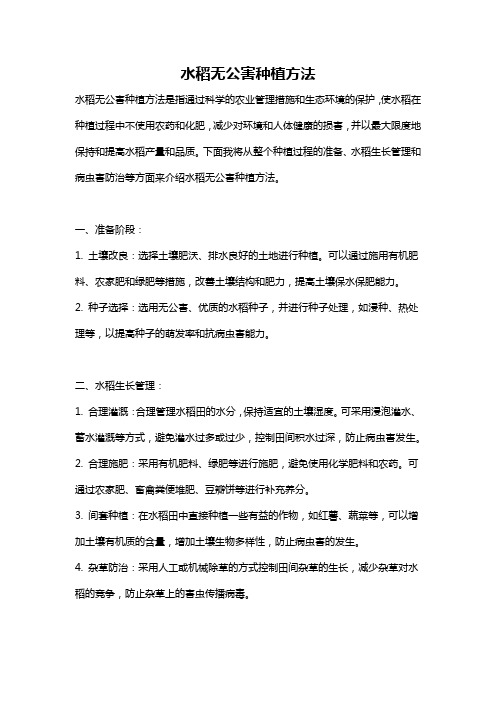 水稻无公害种植方法