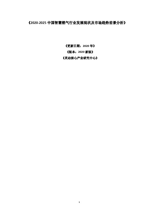 2020-2025中国智慧燃气行业发展现状及市场趋势前景分析报告